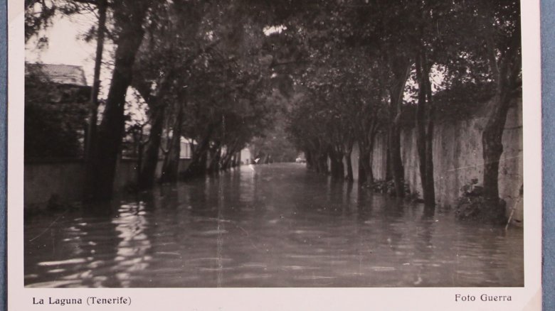 C C 2044
