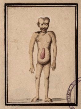 506